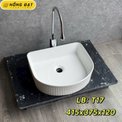 bon-rua-mat-lavabo-su-hd-lt13-gia-re